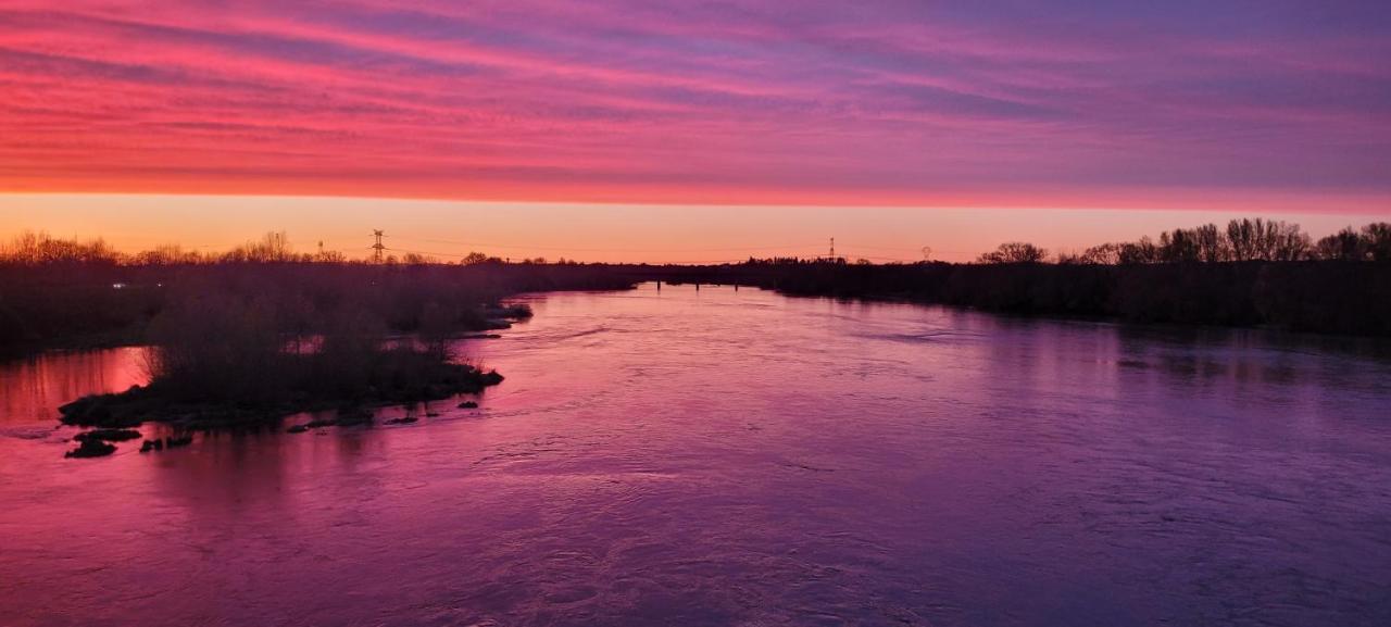 Sur Les Bords De Loire Daire Montlouis-sur-Loire Dış mekan fotoğraf